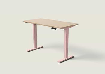 Lade das Bild in den Galerie-Viewer, HomePro Schreibtisch
