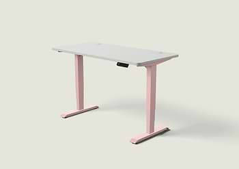 Lade das Bild in den Galerie-Viewer, HomePro Schreibtisch
