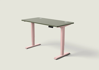 Lade das Bild in den Galerie-Viewer, HomePro Schreibtisch
