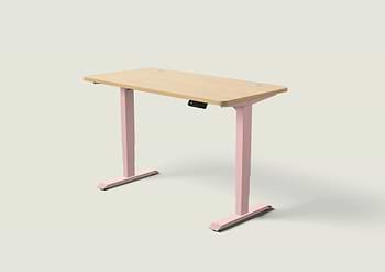 Lade das Bild in den Galerie-Viewer, HomePro Schreibtisch
