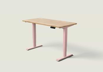 Lade das Bild in den Galerie-Viewer, HomePro Schreibtisch
