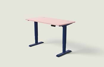 Lade das Bild in den Galerie-Viewer, HomePro Schreibtisch
