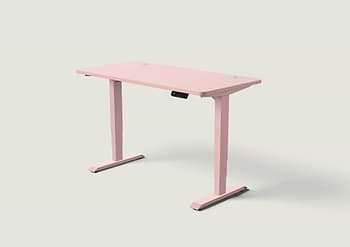 Lade das Bild in den Galerie-Viewer, HomePro Schreibtisch
