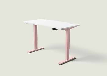 Lade das Bild in den Galerie-Viewer, HomePro Schreibtisch
