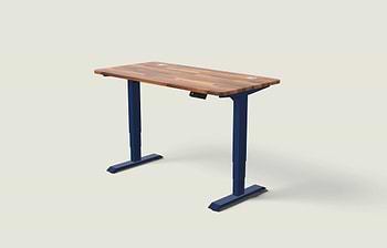 Lade das Bild in den Galerie-Viewer, HomePro Schreibtisch
