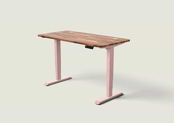 Lade das Bild in den Galerie-Viewer, HomePro Schreibtisch