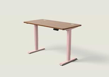 Lade das Bild in den Galerie-Viewer, HomePro Schreibtisch