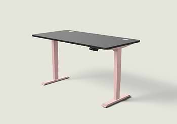 Lade das Bild in den Galerie-Viewer, HomePro Schreibtisch