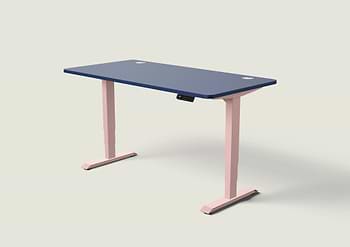 Lade das Bild in den Galerie-Viewer, HomePro Schreibtisch
