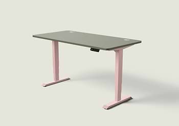 Lade das Bild in den Galerie-Viewer, HomePro Schreibtisch
