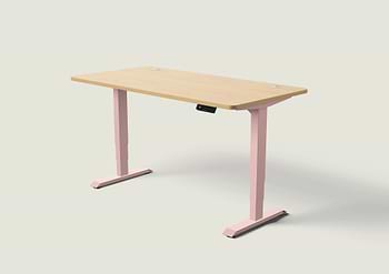 Lade das Bild in den Galerie-Viewer, HomePro Schreibtisch
