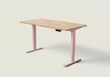 Lade das Bild in den Galerie-Viewer, HomePro Schreibtisch