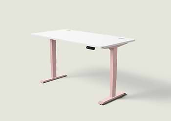 Lade das Bild in den Galerie-Viewer, HomePro Schreibtisch
