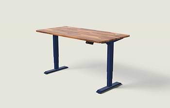 Lade das Bild in den Galerie-Viewer, HomePro Schreibtisch