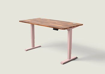 Lade das Bild in den Galerie-Viewer, HomePro Schreibtisch