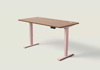 Lade das Bild in den Galerie-Viewer, HomePro Schreibtisch