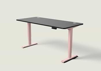 Lade das Bild in den Galerie-Viewer, HomePro Schreibtisch