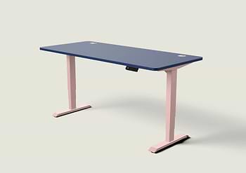 Lade das Bild in den Galerie-Viewer, HomePro Schreibtisch
