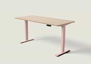 Lade das Bild in den Galerie-Viewer, HomePro Schreibtisch
