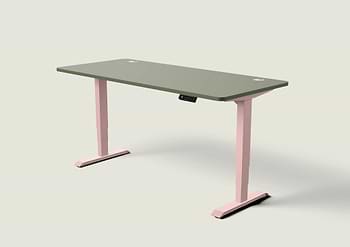 Lade das Bild in den Galerie-Viewer, HomePro Schreibtisch
