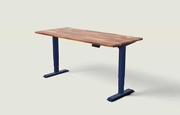 Lade das Bild in den Galerie-Viewer, HomePro Schreibtisch