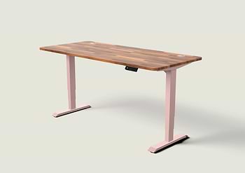 Lade das Bild in den Galerie-Viewer, HomePro Schreibtisch