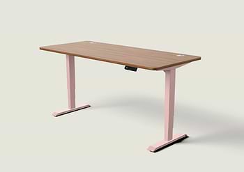 Lade das Bild in den Galerie-Viewer, HomePro Schreibtisch
