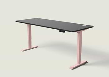 Lade das Bild in den Galerie-Viewer, HomePro Schreibtisch
