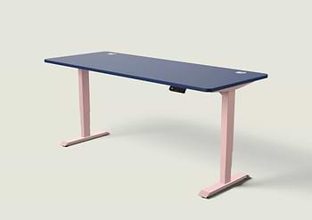 Lade das Bild in den Galerie-Viewer, HomePro Schreibtisch
