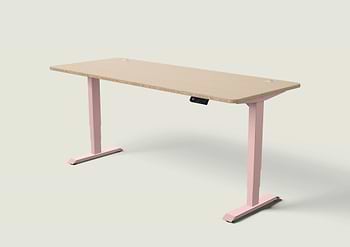 Lade das Bild in den Galerie-Viewer, HomePro Schreibtisch
