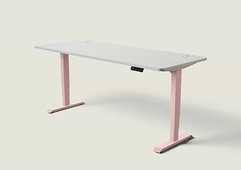 Lade das Bild in den Galerie-Viewer, HomePro Schreibtisch
