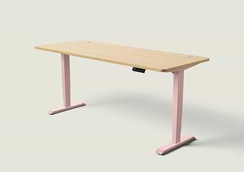 Lade das Bild in den Galerie-Viewer, HomePro Schreibtisch
