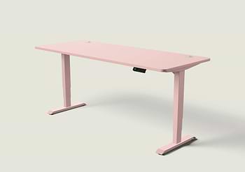 Lade das Bild in den Galerie-Viewer, HomePro Schreibtisch
