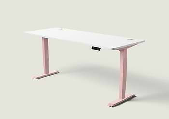 Lade das Bild in den Galerie-Viewer, HomePro Schreibtisch