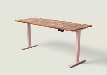 Lade das Bild in den Galerie-Viewer, HomePro Schreibtisch
