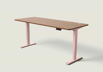 Lade das Bild in den Galerie-Viewer, HomePro Schreibtisch