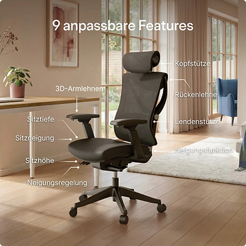 Lade das Bild in den Galerie-Viewer, 
