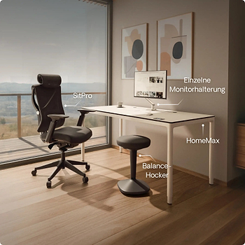 Lade das Bild in den Galerie-Viewer, 
