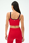 A person with long dark hair is seen from behind wearing the SPLITS59 Cait Rigor Bralette in Pirate Red/Indigo, paired with matching leggings, against a plain light background.