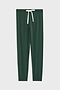 Front flat view of  dark green sweatpant jogger with white drawstring