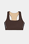 The SPLITS59 Lexi Rigor Bra in Dark Chocolate/Black, designed for high-impact workouts with beige lining and black-and-white side panels, is shown laid flat on a white background.