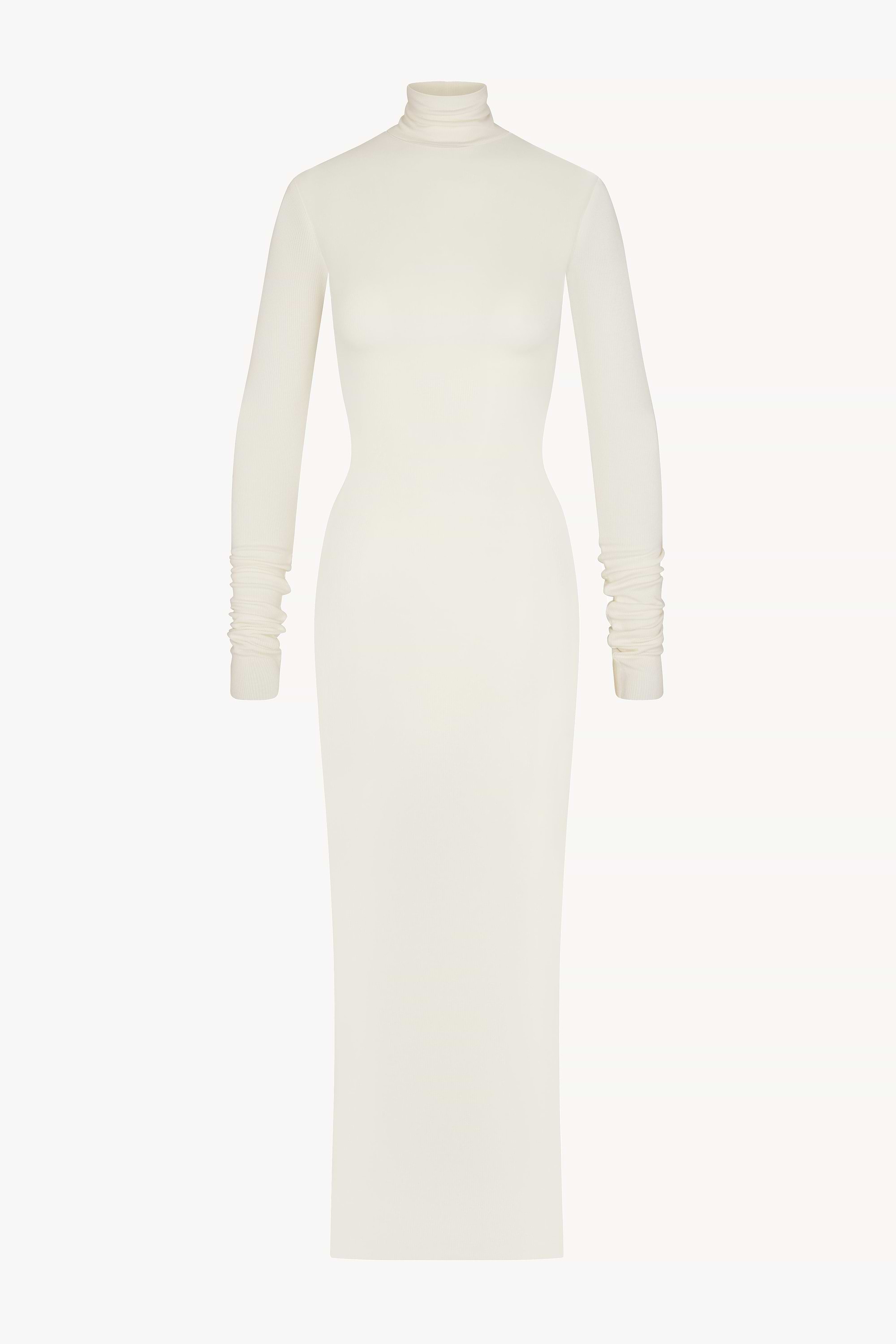 LONG SLEEVE TURTLENECK MAXI DRESS - ÉTERNE