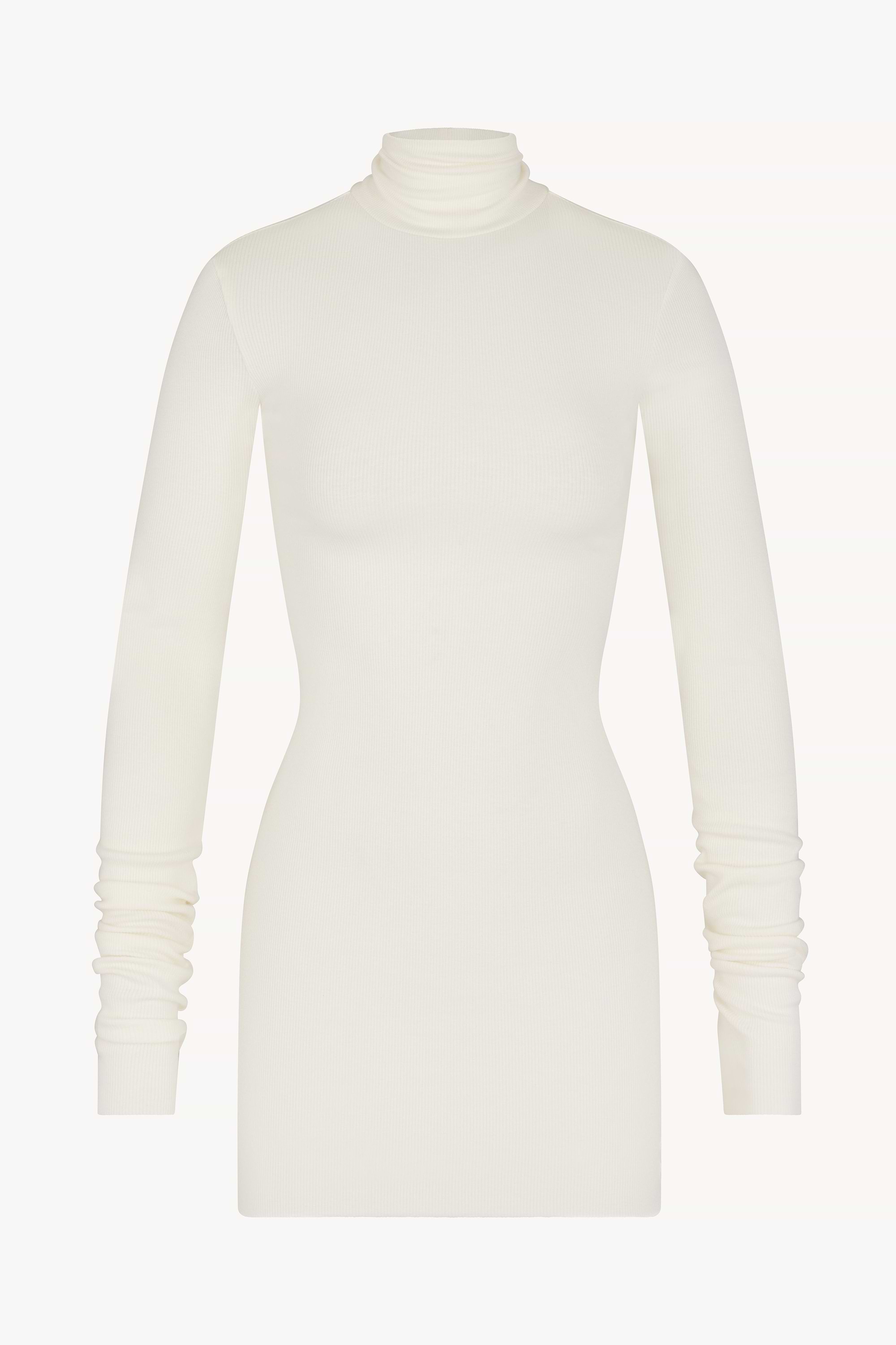 LONG SLEEVE TURTLENECK MINI DRESS - ÉTERNE