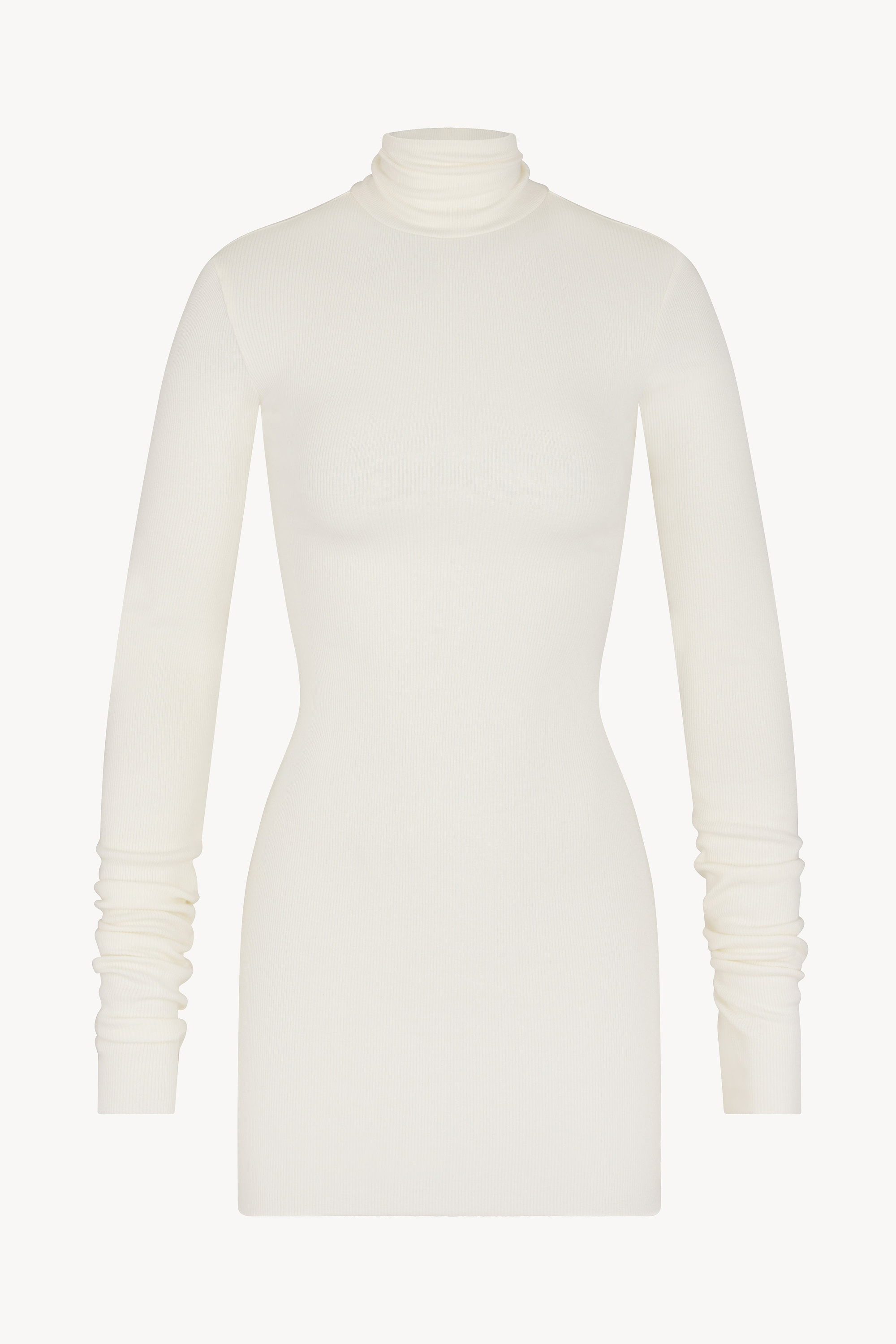 LONG SLEEVE TURTLENECK MINI DRESS - ÉTERNE