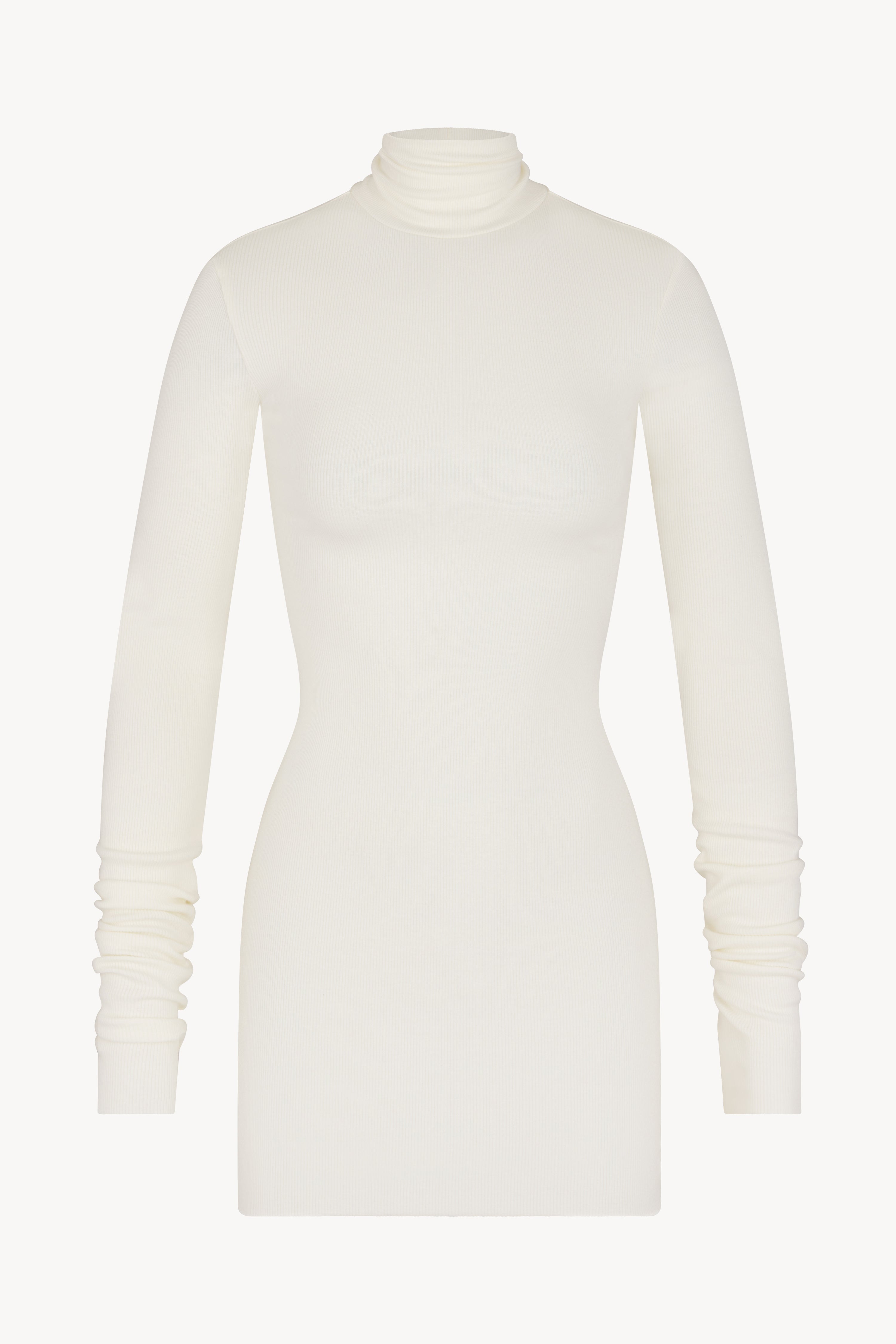 LONG SLEEVE TURTLENECK MINI DRESS - ÉTERNE
