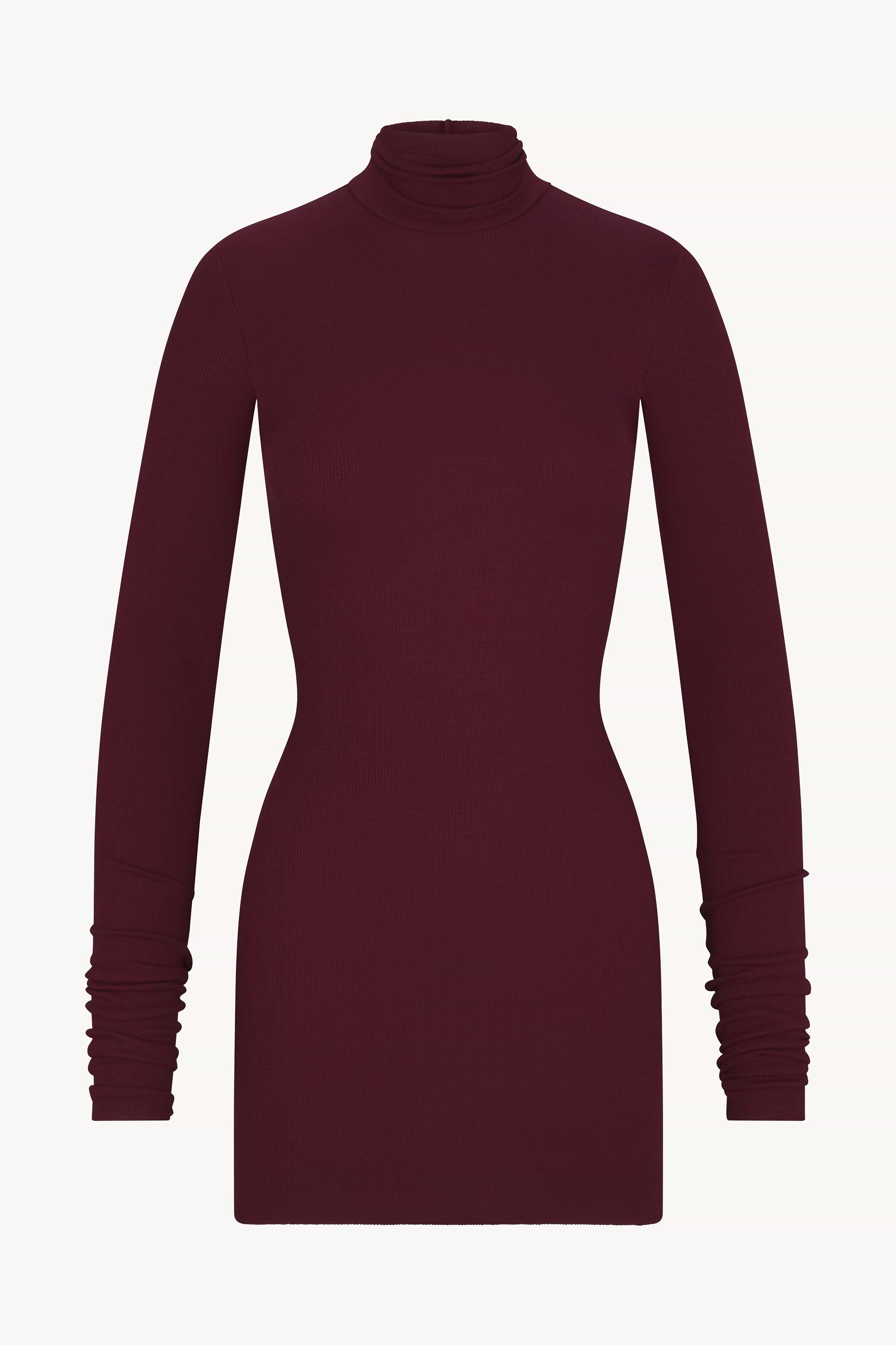 ÉTERNE LONG SLEEVE TURTLENECK MINI DRESS
