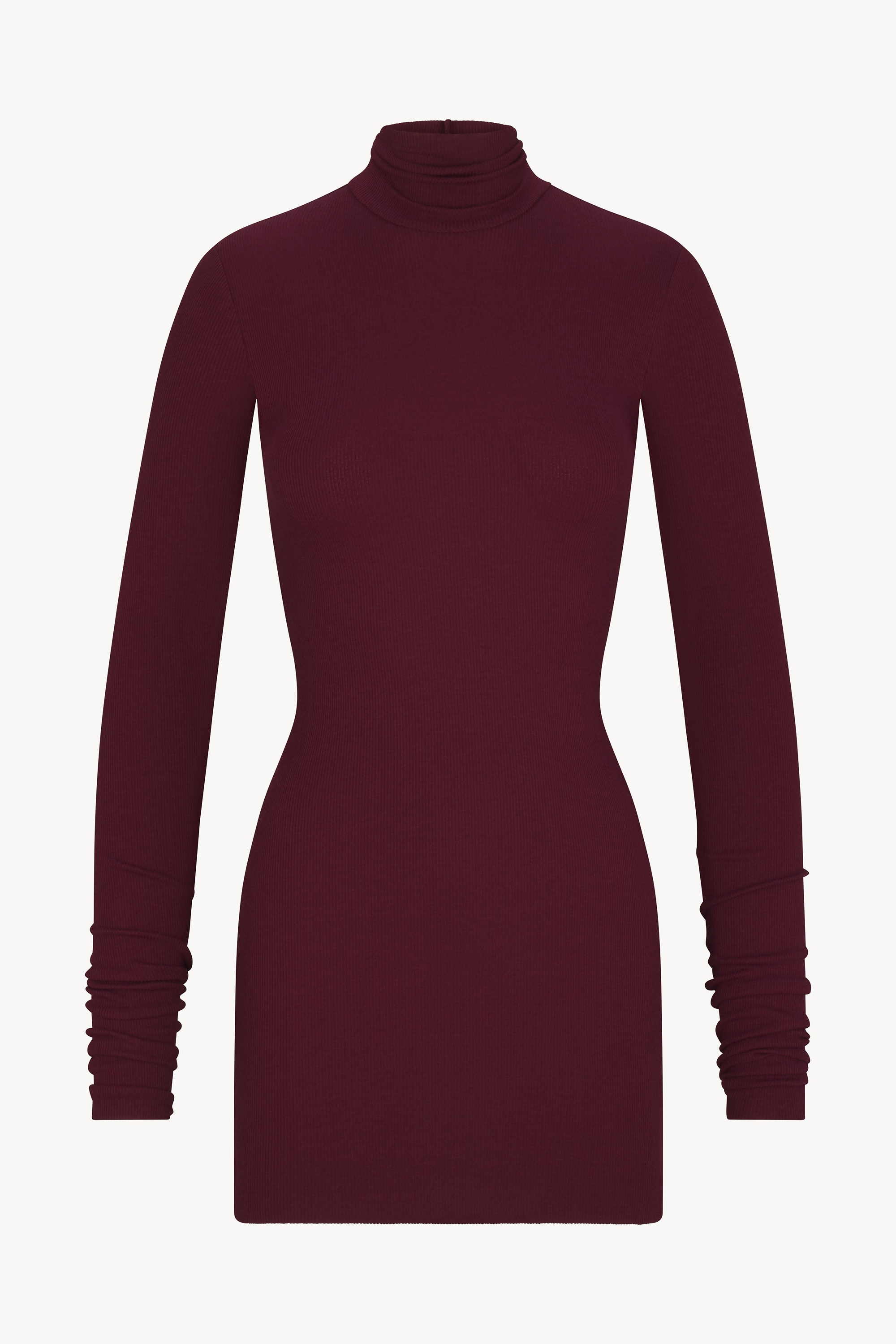 ÉTERNE LONG SLEEVE TURTLENECK MINI DRESS