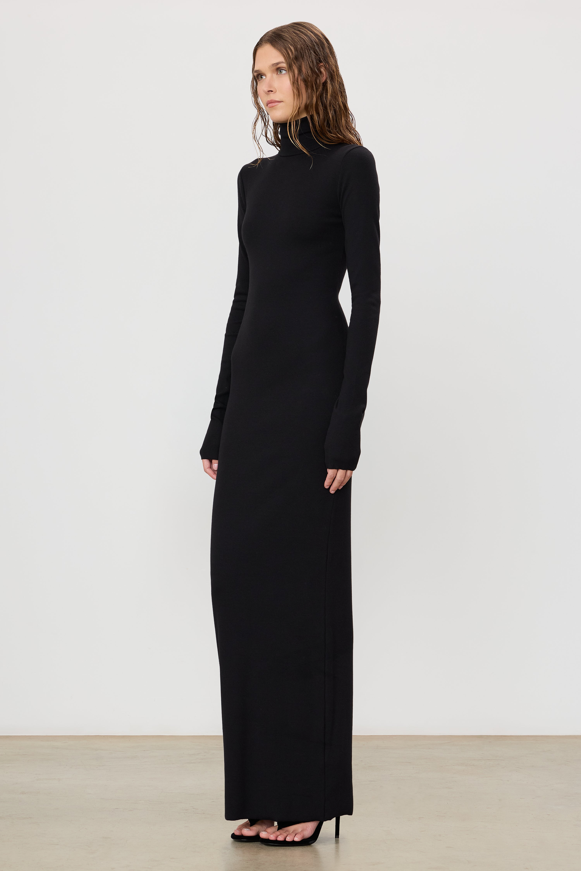 LONG SLEEVE TURTLENECK MAXI DRESS - ÉTERNE