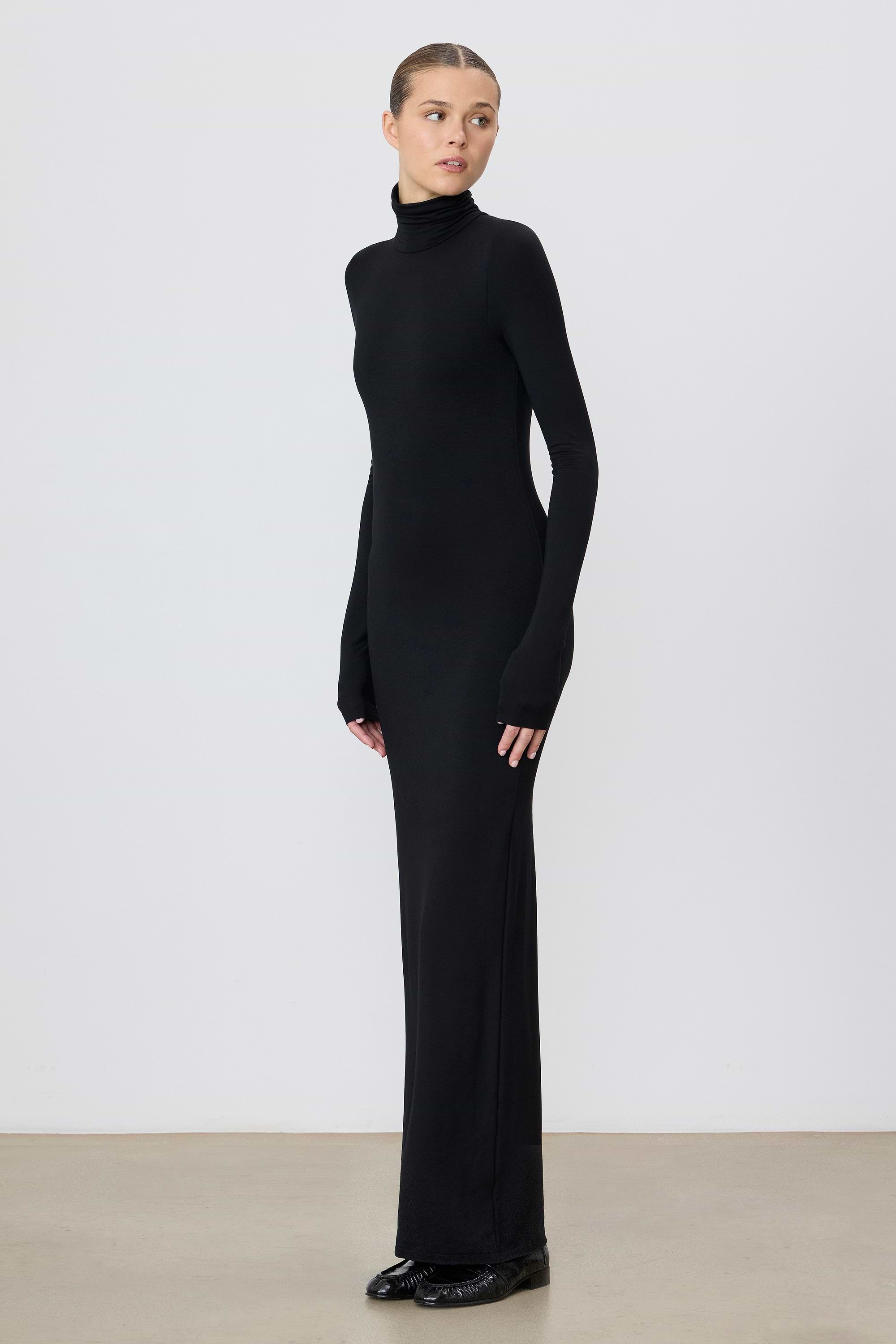 ÉTERNE LONG SLEEVE TURTLENECK MAXI DRESS