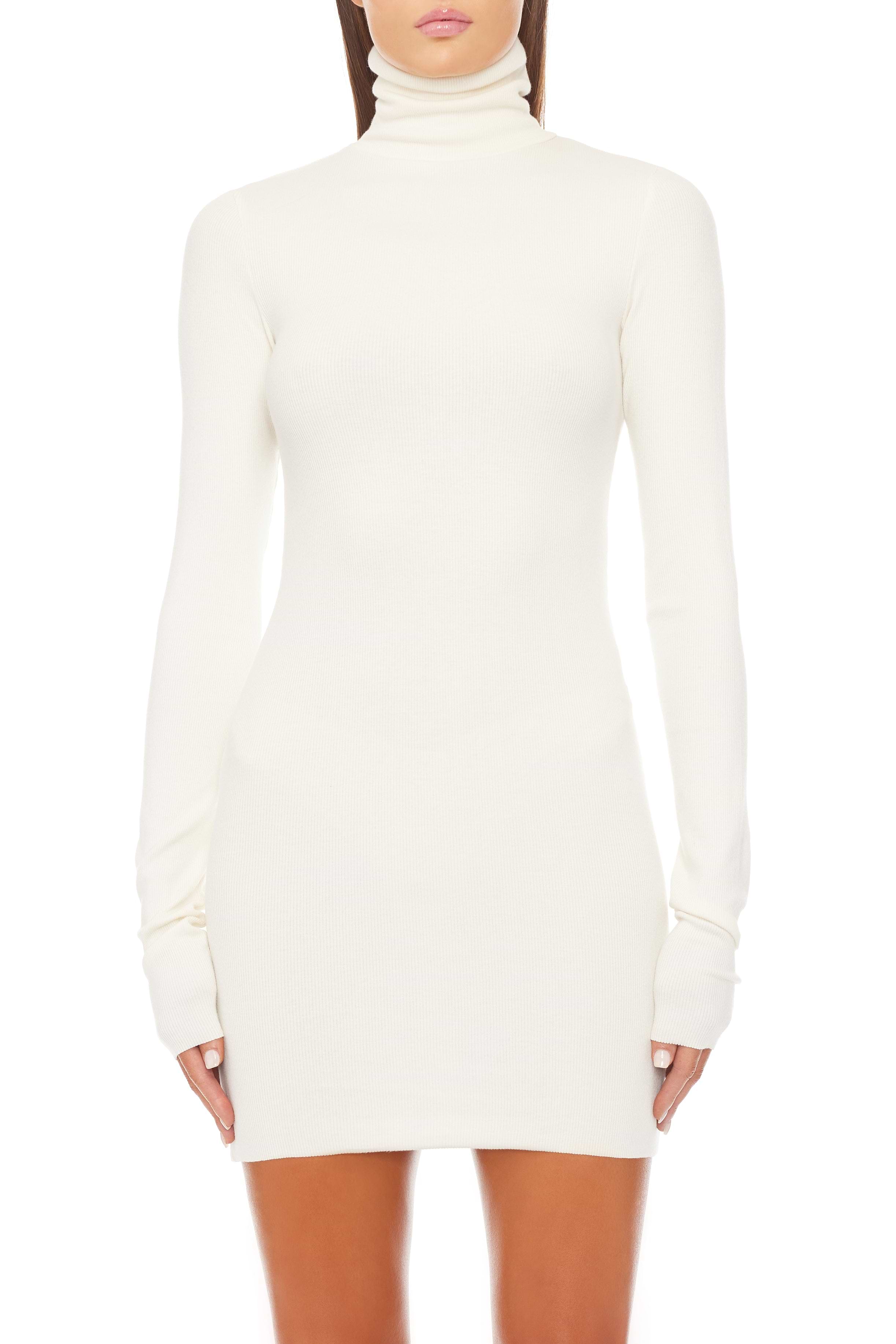 LONG SLEEVE TURTLENECK MINI DRESS - ÉTERNE